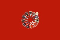 德州市夏津县回收红酒